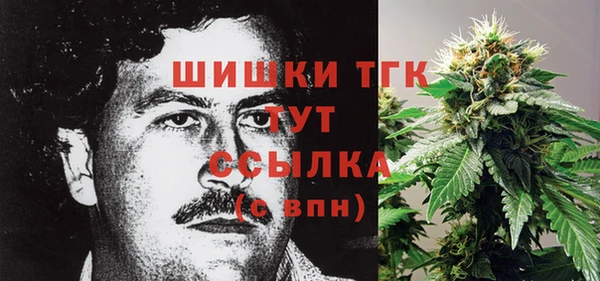 тгк Белокуриха