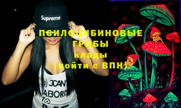 тгк Белокуриха