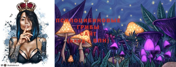 тгк Белокуриха