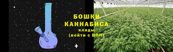 ПСИЛОЦИБИНОВЫЕ ГРИБЫ Мегион