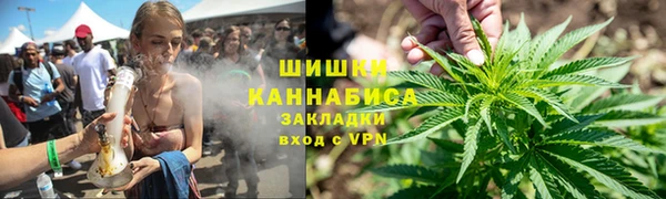 молекула духа Белоозёрский