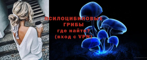 тгк Белокуриха